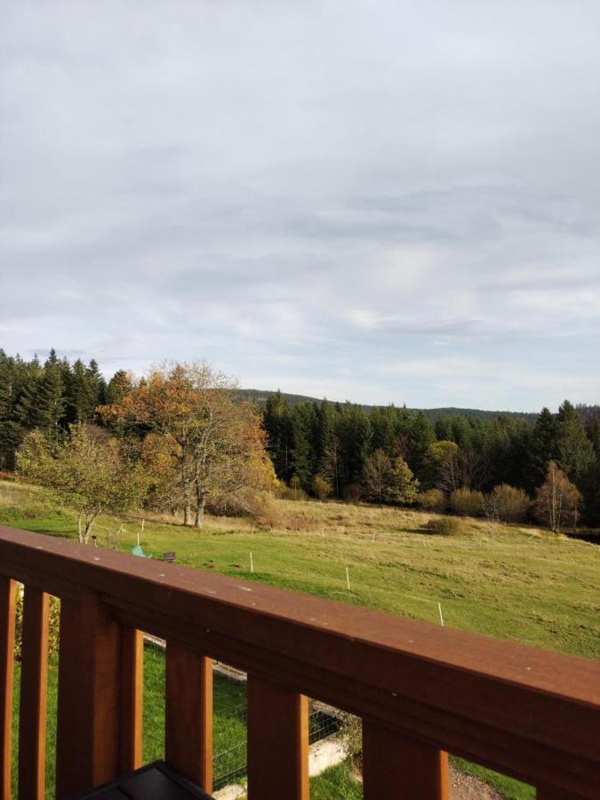 Chambre D'Hotes Les Brimbelles Gerardmer Luaran gambar